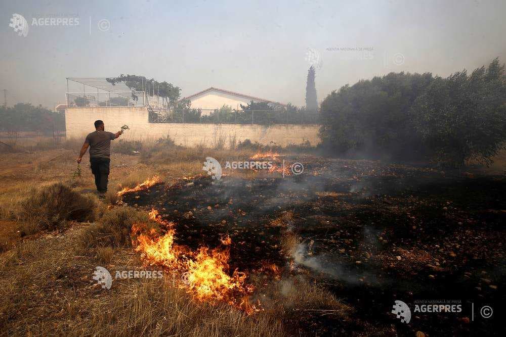 Incendiile forestiere au mistuit hectare întregi în Grecia