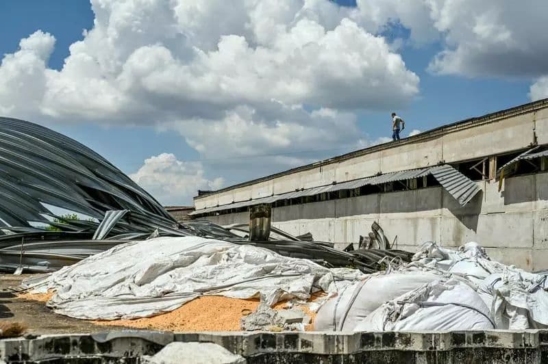 Pierderi semnificative de cereale din cauza războiului