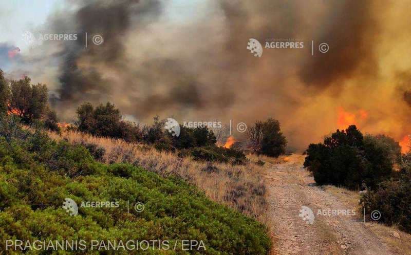 Un cioban a murit într-un incendiu încercând să își salveze animalele