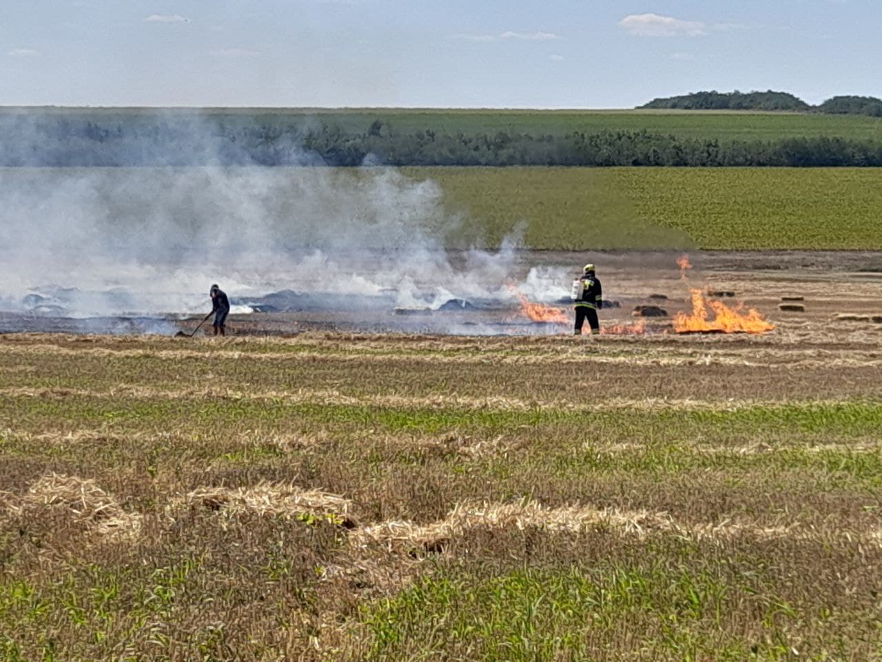 Peste 160 de hectare de vegetație au fost nimicite flăcări / FOTO