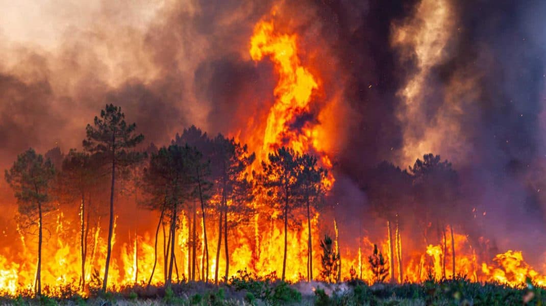 Incendiile forestiere au ajuns și în Canada