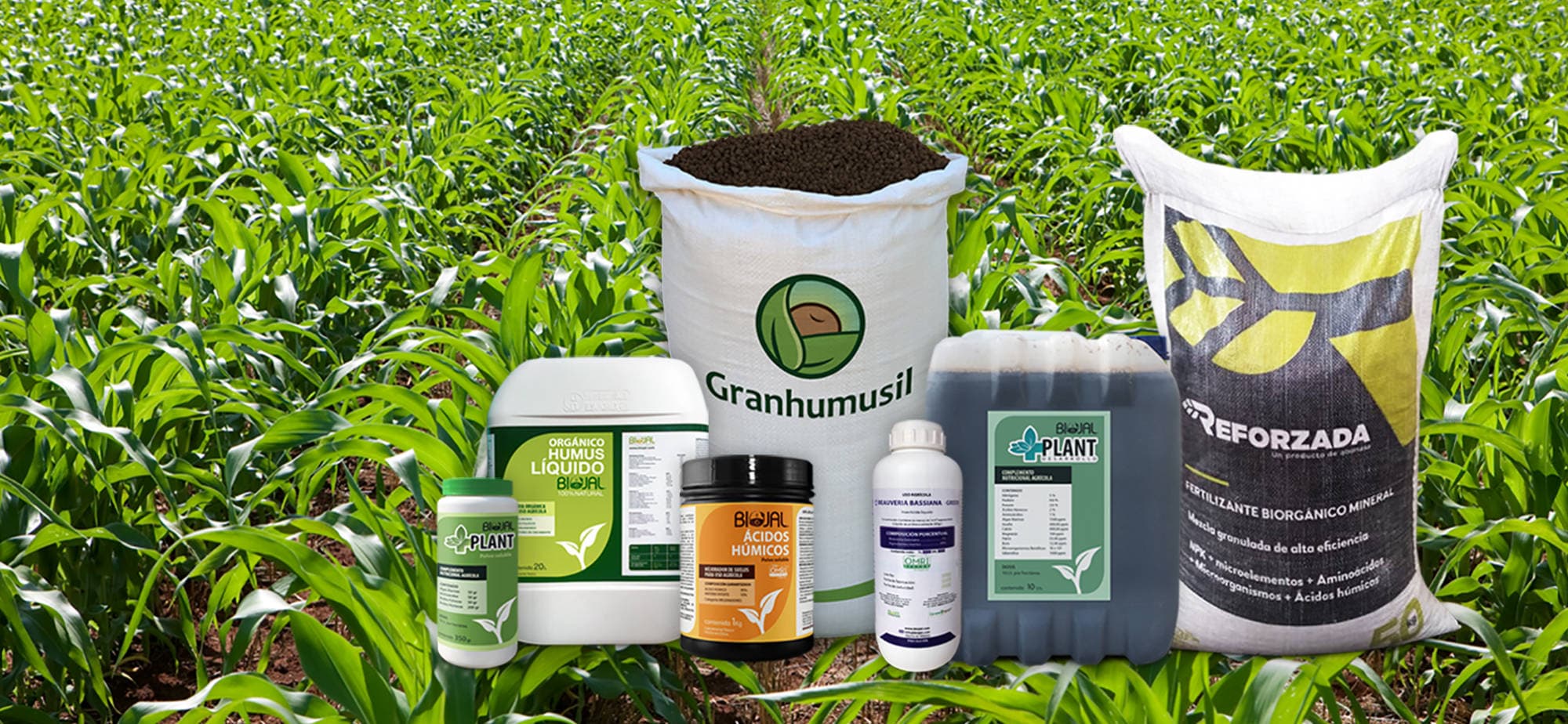 Condiții noi de introducere pe piață, utilizare și control a produselor fitosanitare