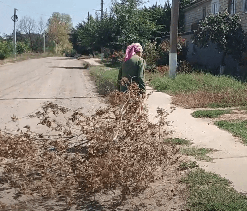 Unii cumpără lemne, alți adună creangă cu creangă
