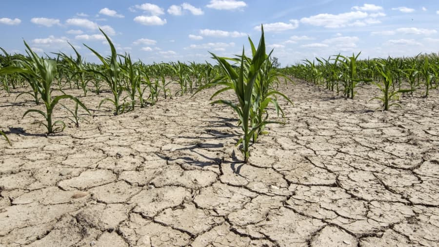 Savanții vin cu recomandări în contextul schimbărilor climatice