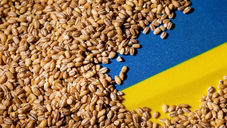 Mai multe controale de-a lungul culoarelor de solidaritate pentru cerealele ucrainene