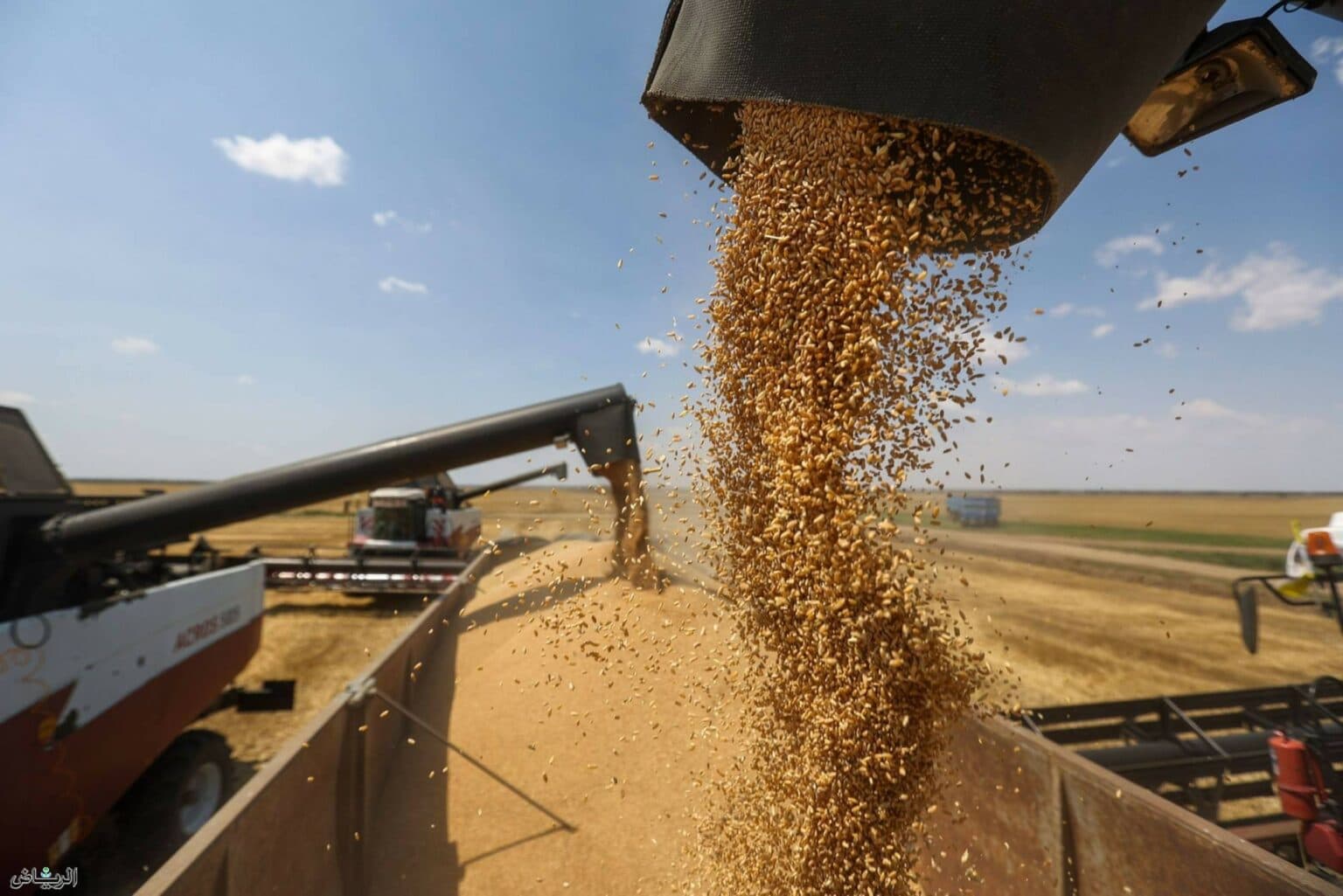 România a devenit principala rută pentru mai mult de 60% din cerealele ucrainene