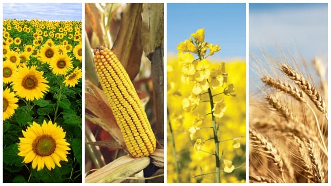 Producția agricolă a UE, în scădere drastică din cauza condițiilor climatice extreme