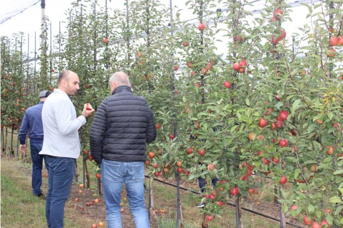 Premieră! Moldova Fruct gazdă celor mai influente asociații de fructe și legume din UE