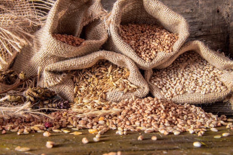 Legea pentru funcționarea bursei cerealelor în România