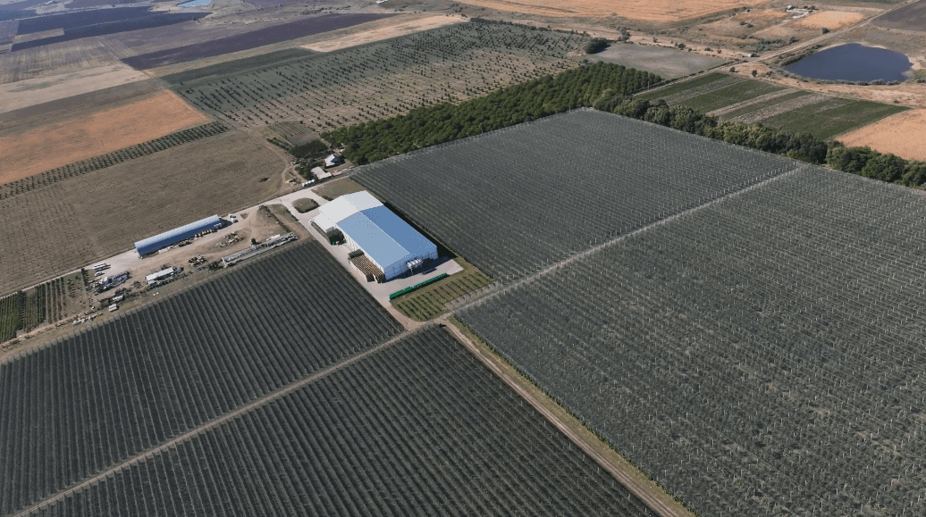 Agricultura 4.0 – Digitalizarea livezilor. Calea de acces spre piețele de export
