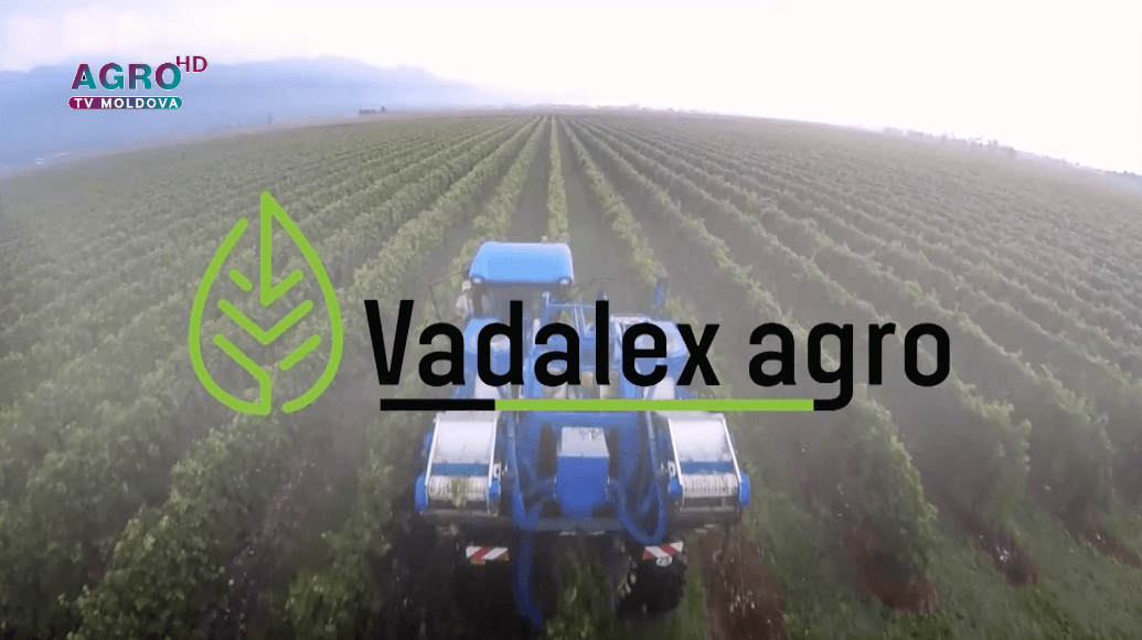 Vadalex-Agro, partenerul dvs în dezvoltarea și prosperarea afacerii agricole