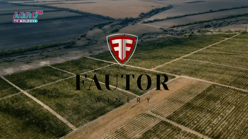 FAUTOR - tradiție, pasiune și vinuri excepționale