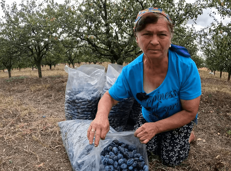 Până unde s-a ajuns! Producătorii, la limita puterilor