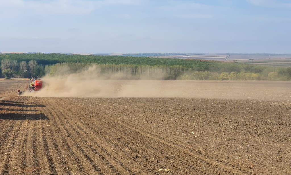 Agricultorii din sudul țării, îngrijorați de temperaturile ridicate