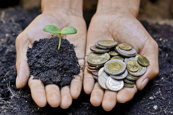 Sandu, despre dezvoltarea agriculturii: „Încercăm să deschidem noi piețe”