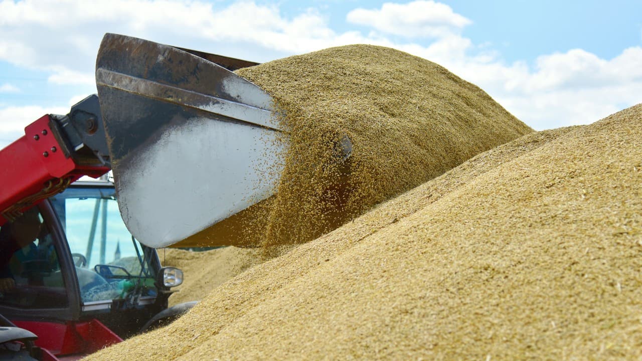 Cerealele care provin din Ucraina dau bătăi de cap în continuare fermierilor români