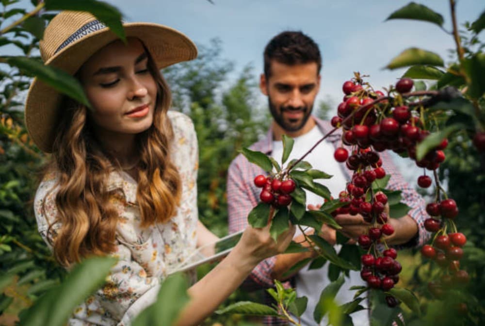 Îmbunătățirea calității programelor de studii în domeniul agricol