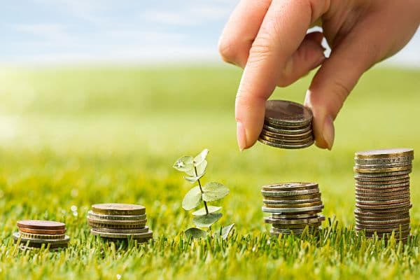 15 decembrie - ultima zi de depunere a cererilor pentru subvenționarea investițiilor pe etape