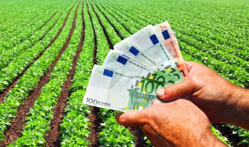 1,9 milioane de euro din partea Japoniei pentru susținerea agricultorilor