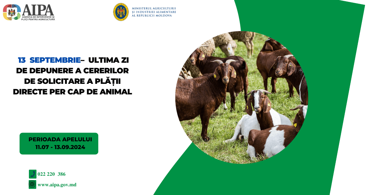 13 septembrie – ultima zi pentru adresarea cererilor de plăți directe la animale