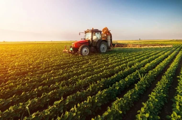 Măsuri urgente și colaborări internaționale pentru susținerea sectorului agricol