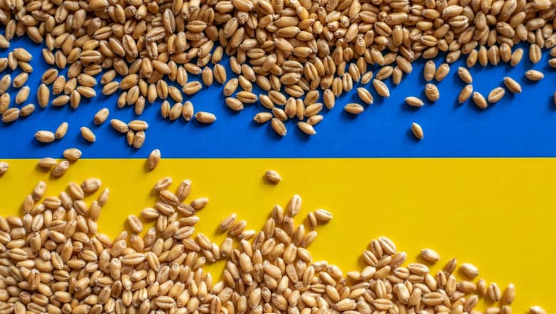 Ucraina ar putea avea cea mai mare producție de soia recoltată vreodată