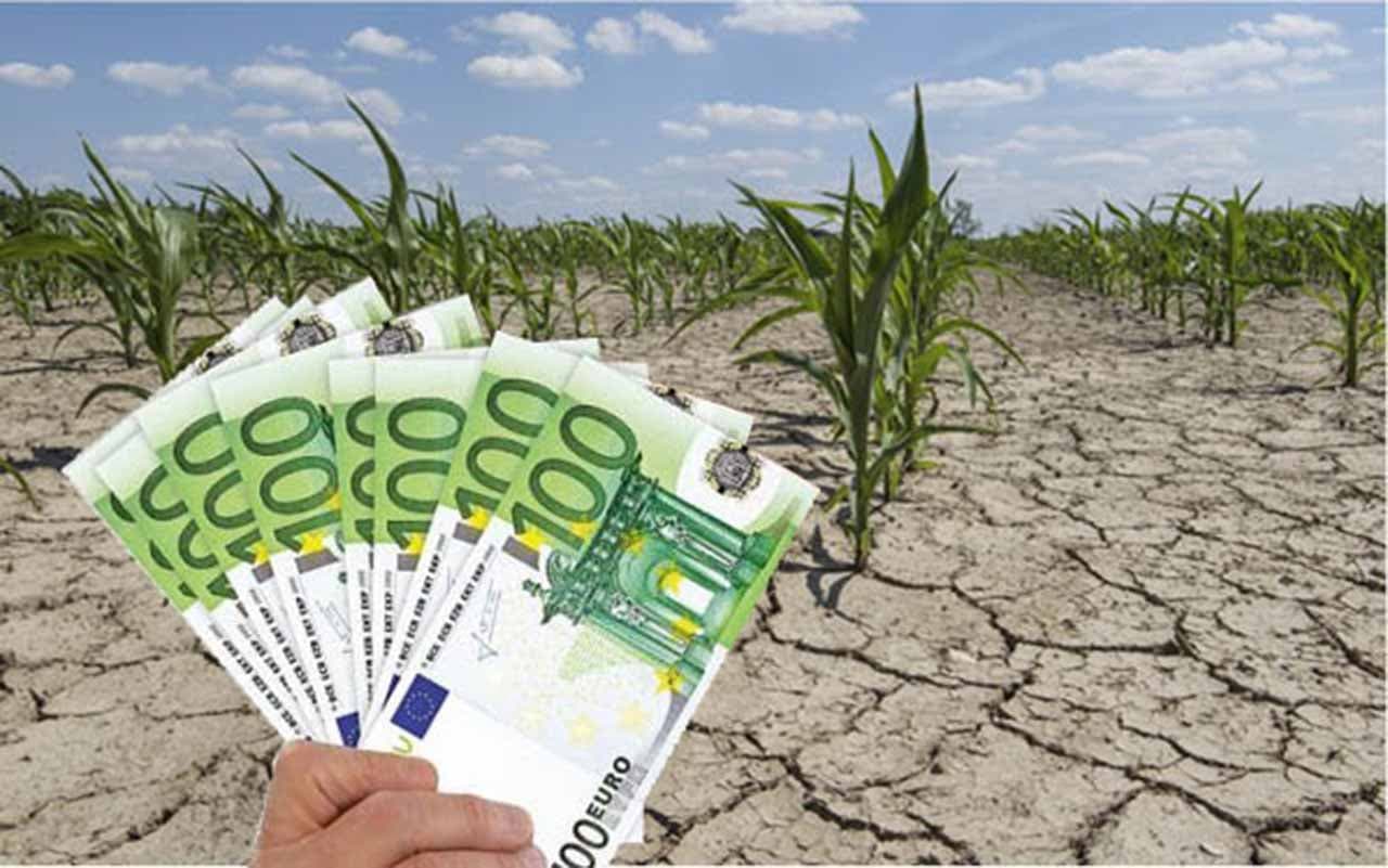 Sprijin pentru fermierii afectați de secetă: întâlnire la MAIA cu bănci și distribuitori agricoli