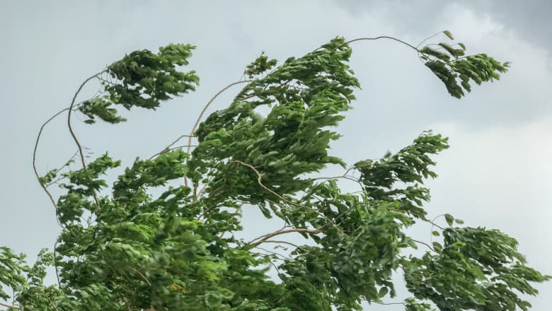 Alerte meteo pentru ploi și vânt puternic în România