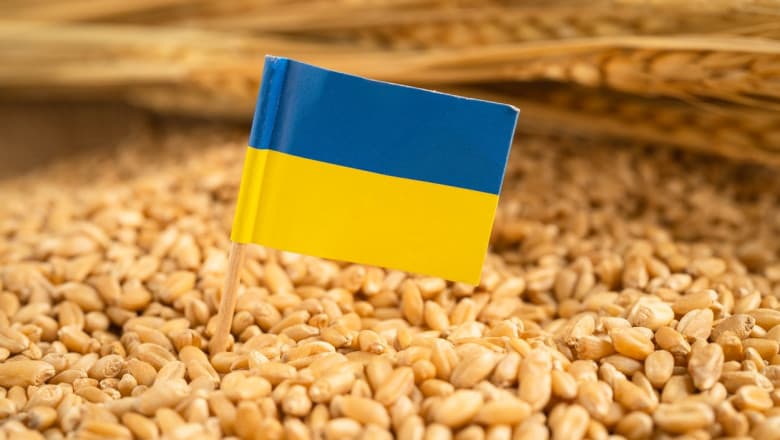 Ucraina va limita exporturile de grâu în sezonul comercial 2024-2025