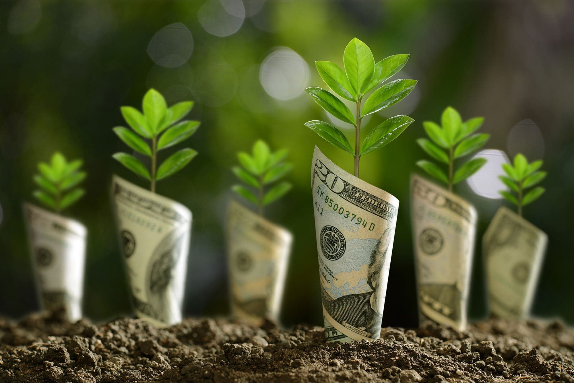 Agricultorii vor beneficia de o rambursare a TVA extinsă