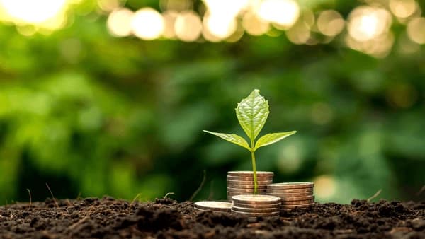 Termenul limită de depunere a dosarelor pentru subvenții la măsurile complementare se apropie