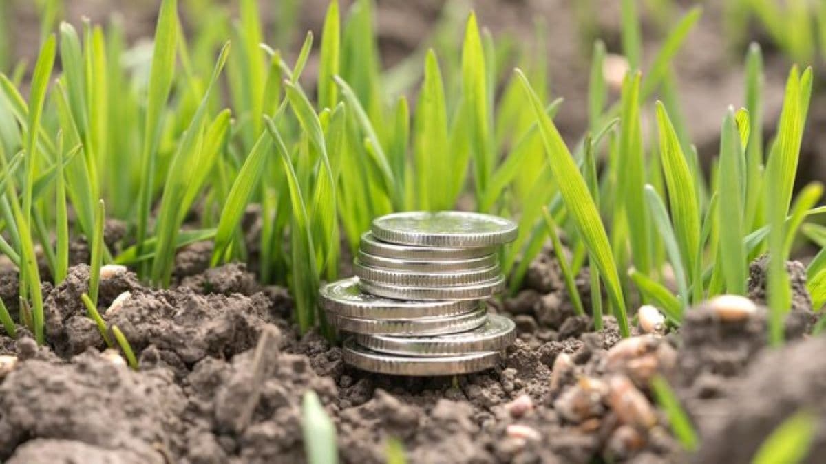 Au fost autorizate spre plată subvenții de peste 3 milioane de lei