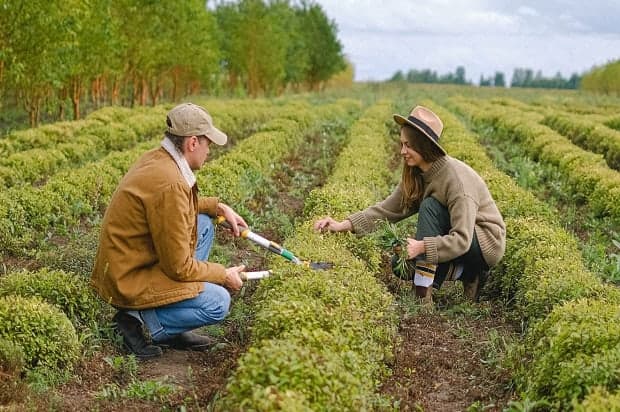 Moldova înființează camere agricole în 2026 pentru sprijinirea fermierilor și dezvoltarea sectorului agricol