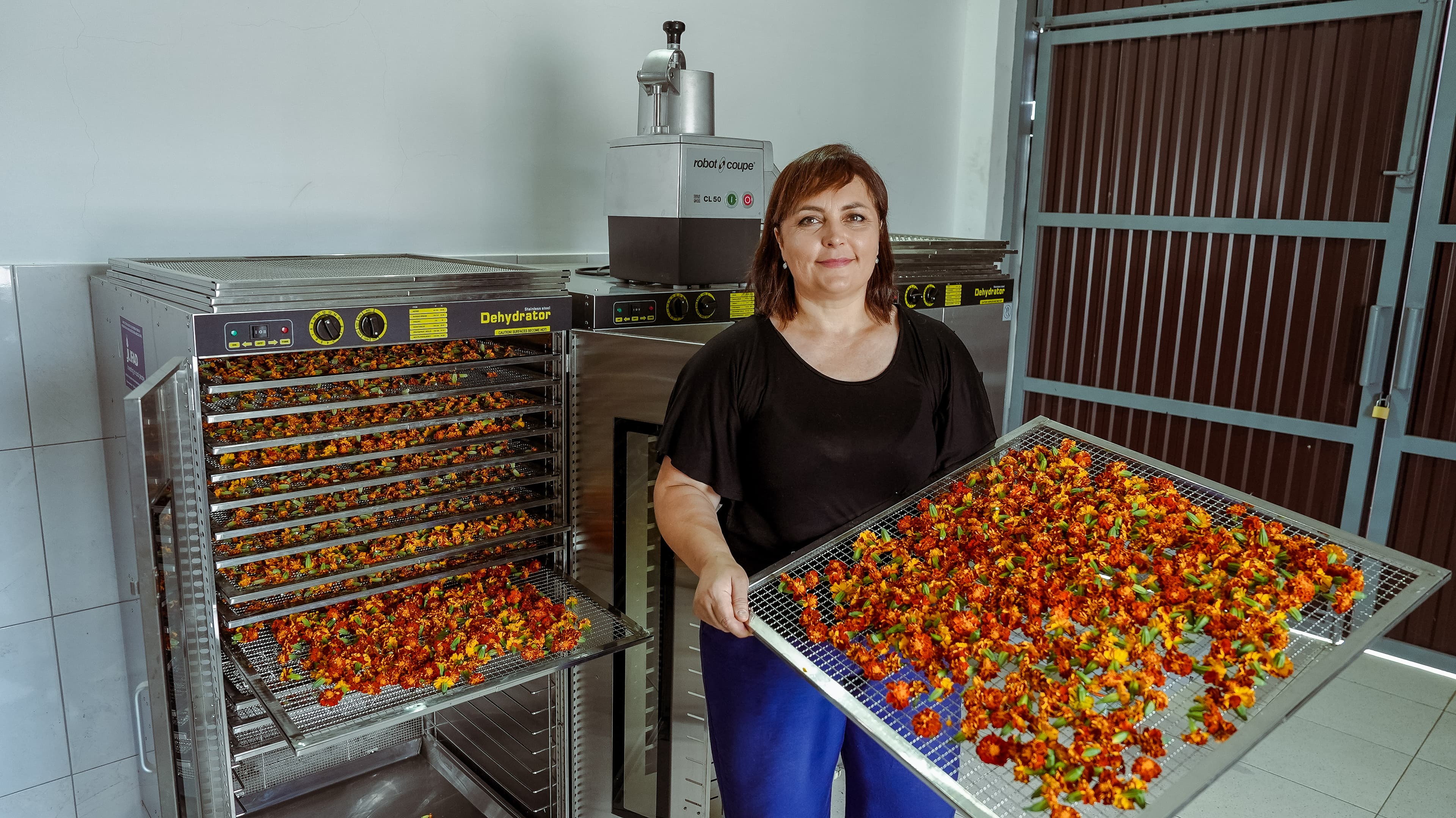 O învățătoare din Sîngerei transformă pasiunea pentru plante medicinale într-o afacere ecologică