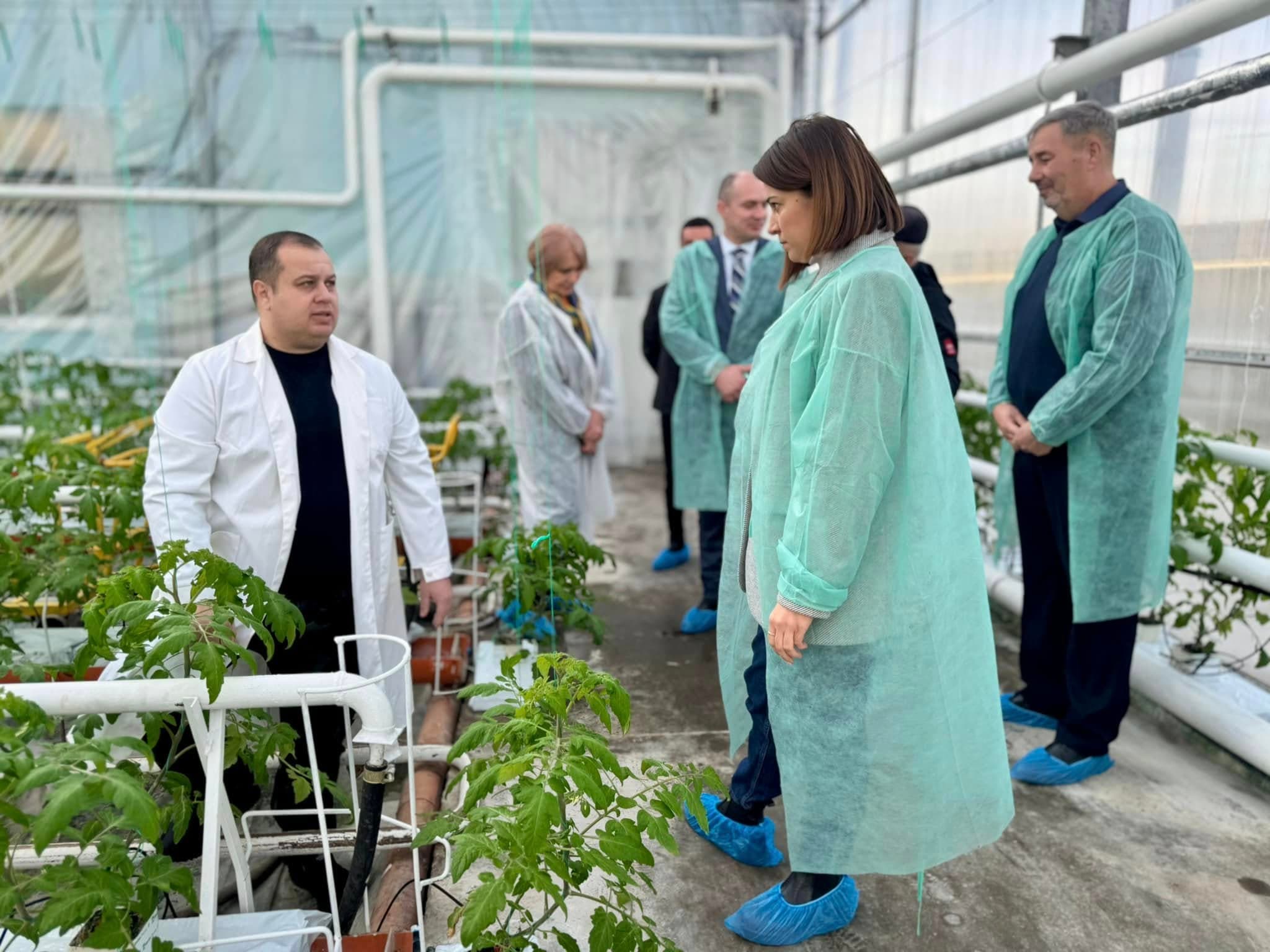 Ludmila Catlabuga: Soluții pentru susținerea fermierilor și dezvoltarea serelor hidroponice în Moldova