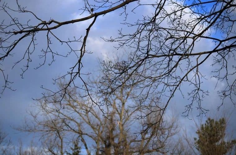 Vreme caldă în toată țara: maxime de până la 15 grade