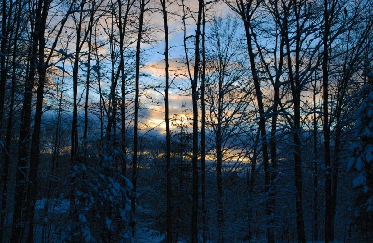 Iarna blândă continuă: cum va fi vremea mâine