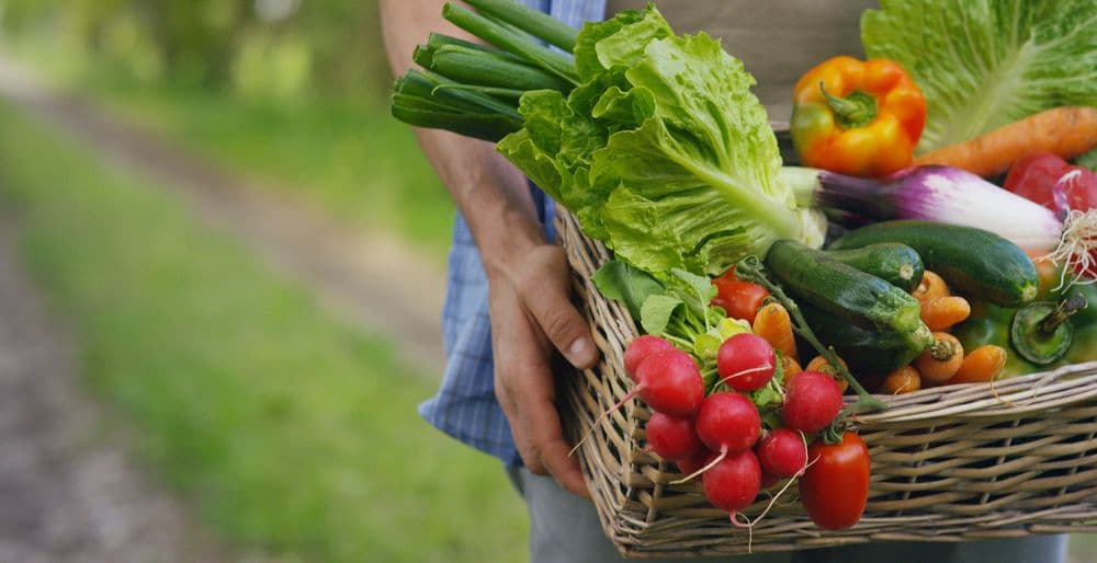 Noi reguli pentru importatorii de plante și produse vegetale