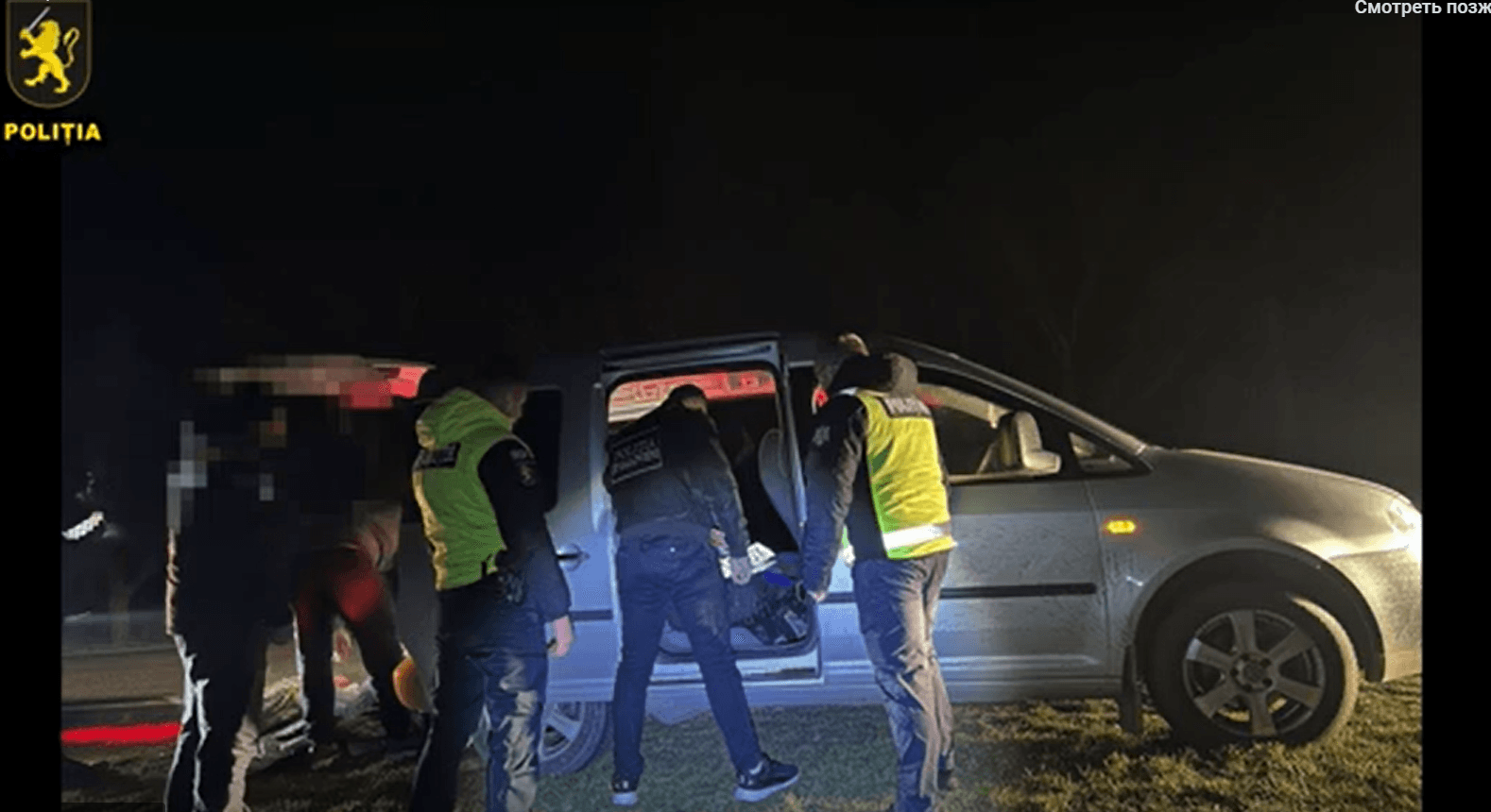 Escrocherie cu semințe de floarea-soarelui. O firmă fantomă a înșelat fermierii