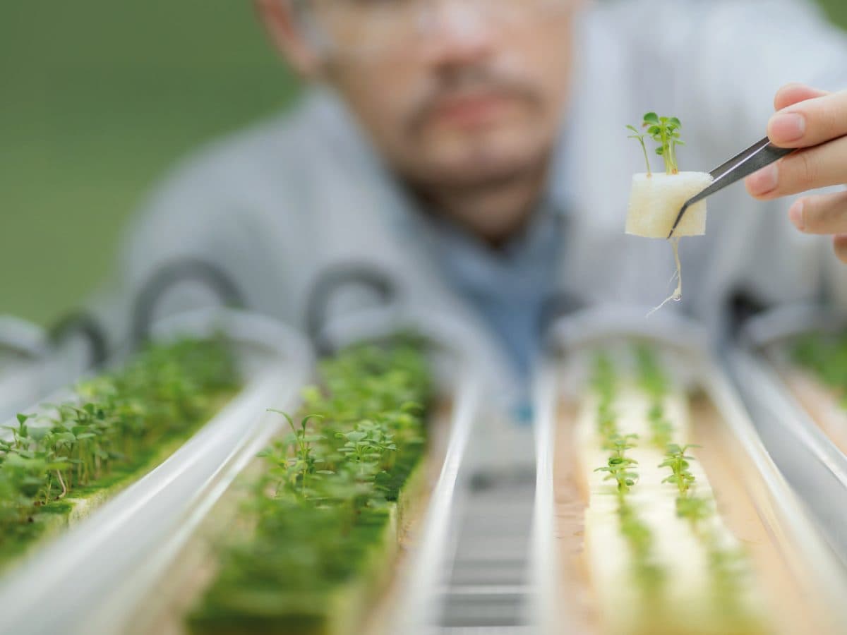 Inovația Biotehnologică în Horticultură: Macfrut 2025, locul întâlnirii cercetării și producției globale