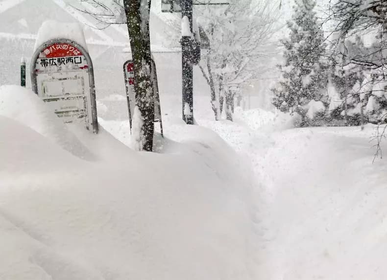 Japonia, paralizată de ninsori record: zăpada atinge 3 metri în unele zone