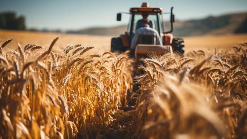 Camerele agricole vor deveni realitate! Legea a fost adoptată de Parlament