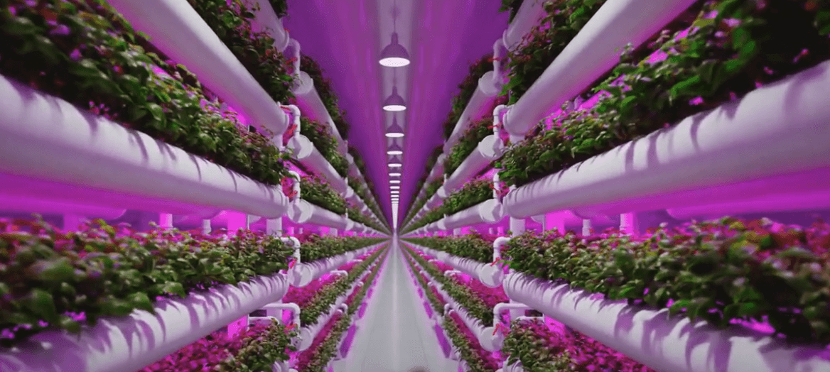 Building Integrated Green House – unica fermă urbană din Europa, construită pe acoperișul unei clădiri din Bruxelles