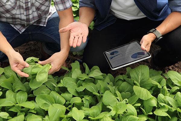 Sprijin pentru cercetarea agricolă: 3,5 milioane de lei pentru modernizare