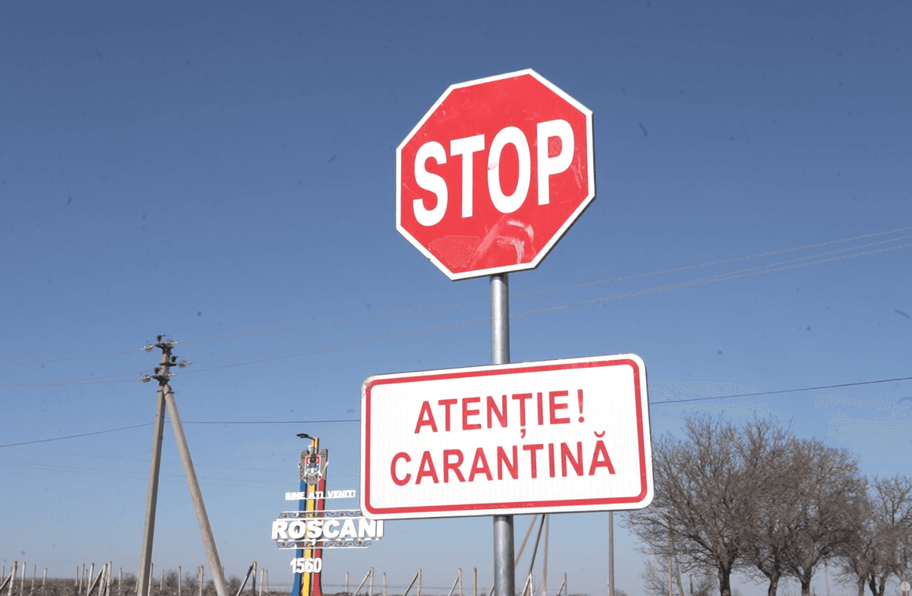 Înhumarea celor 65 000 de porci în apropierea satului Roșcani reprezintă o „catastrofă ecologică”