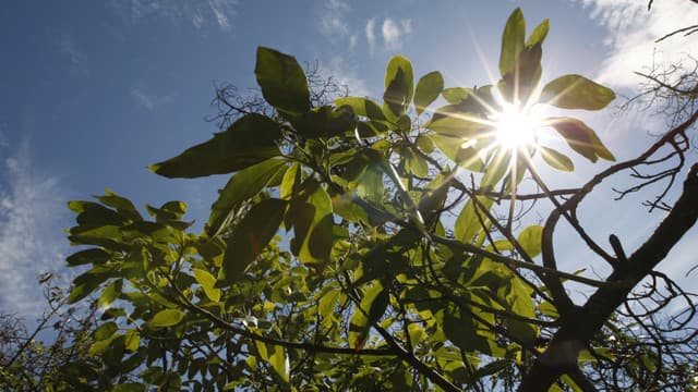 Cer variabil și temperaturi ridicate: Moldova se bucură de o zi caldă la sfârșit de aprilie