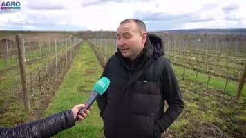Gogu Winery – gustul autentic al vinurilor din Moldova!