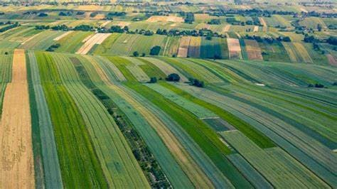 Teren agricol abandonat, dat temporar în arendă în lipsa proprietarului. Clarificări privind noul Cod Funciar