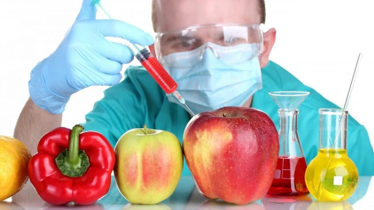 Reguli stricte pentru utilizarea microorganismelor modificate genetic