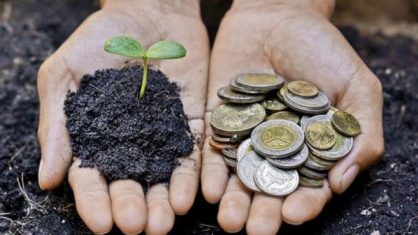AIPA autorizează plăți de peste 58 milioane lei pentru agricultori
